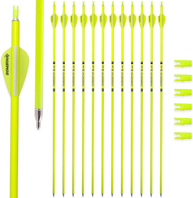 BOWSOUL Carbon Arrow Archery 30inch Bright Colors Hunting Target Practice Arrows for Compound & Recurve Bow Spine 500 with Removable Tips (Pack of 12) - Image 1